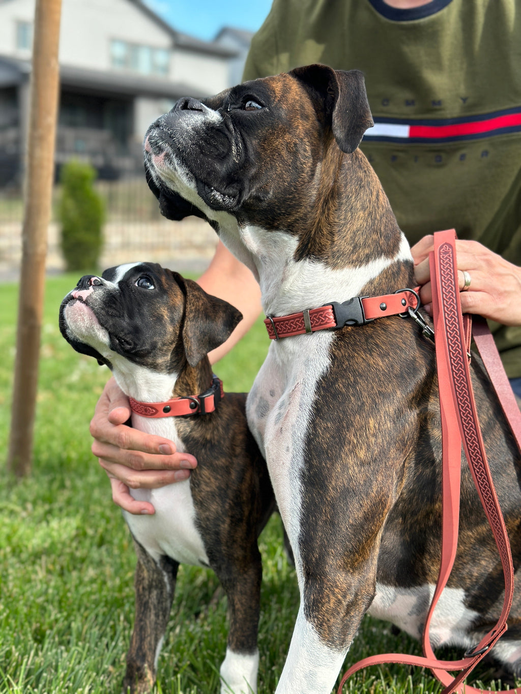 Leather Collar & Leash Set